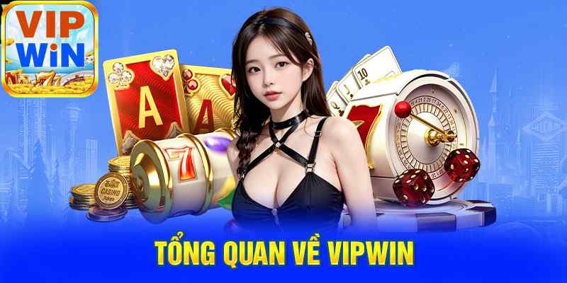 Giới thiệu Vipwin